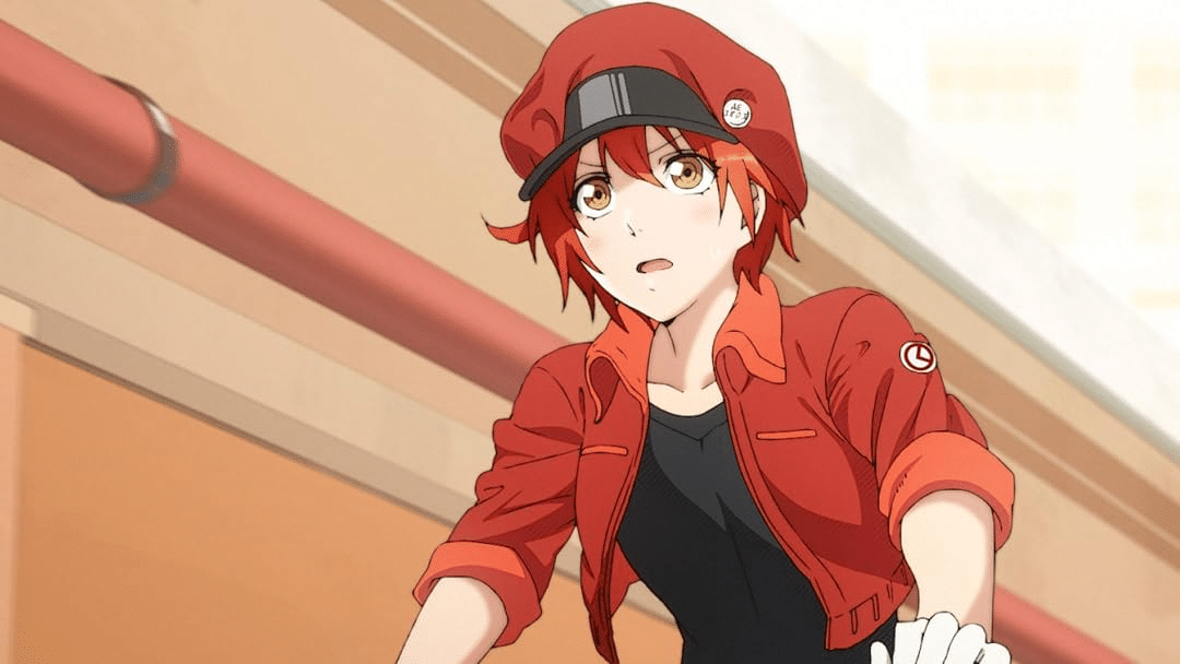 Cells at Work!